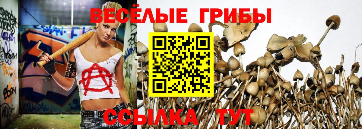 Копейск  Псилоцибиновые грибы Psilocybine cubensis  Вход с VPN 